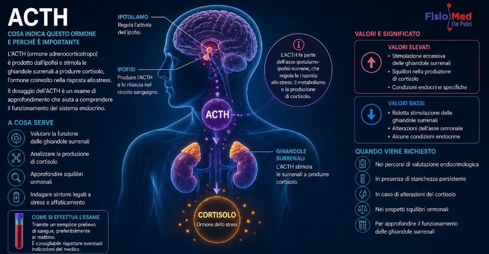 ACTH