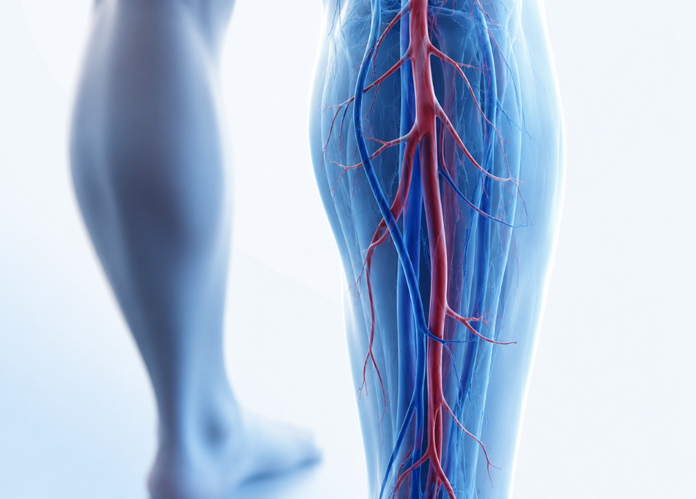 Nuova disciplina disponibile presso FisioMed De Petri: Chirurgia Vascolare