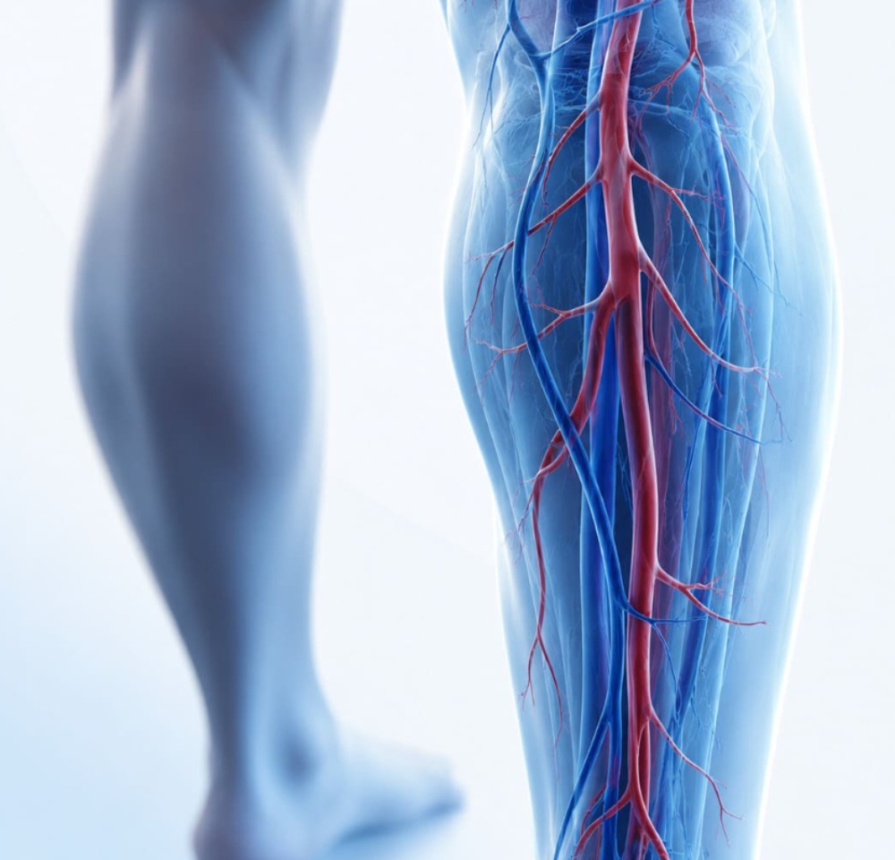 Nuova disciplina disponibile presso FisioMed De Petri: Chirurgia Vascolare